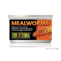 Exo Terra Mealworms (1.2 oz.)