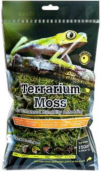Galapagos Green Sphagnum Moss (Mini Bag)