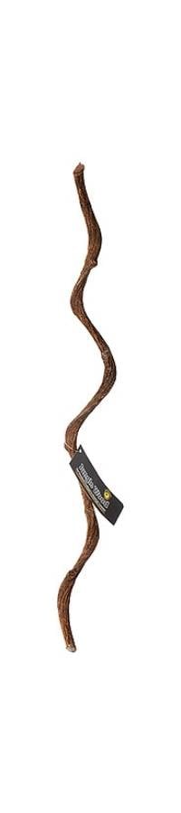 Galapagos Exotic Jungle Wood (Brown, 24 inches)