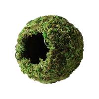Galapagos Woven Moss Cave (Green, 4in)