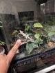 070261dd_27e2_414a_9877_f288588fa51d_review-2ac8e14d.jpg