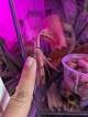 070261dd_27e2_414a_9877_f288588fa51d_review-8d8adc3b.jpg