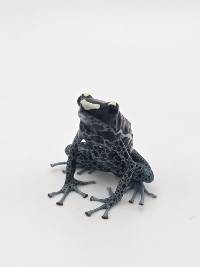 Dendrobates Tinctorius 'Powder Blue' - DTPB01