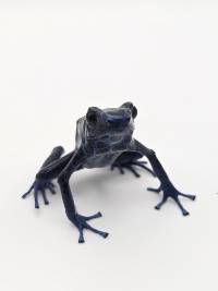 Dendrobates Tinctorius 'Green Sipaliwini' - DTGS04