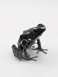 Dendrobates Tinctorius 'Powder Grey' - DTPG11