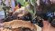 16833e60_f6fd_4bf7_b8f8_b09a4f838276_review-82a3bdfa.jpg