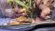 16833e60_f6fd_4bf7_b8f8_b09a4f838276_review-bdbe2bf5.jpg