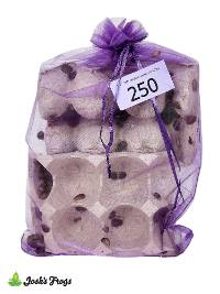 1/2" - 3/4" Medium Dubia Roaches (250 count)