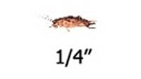 Timberline Vita-Bugs 1/4" Crickets (1000 Count)