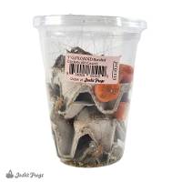 1" GUTLOADED Banded Cricket Cup (60 Count)