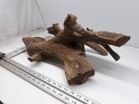 Malaysian Driftwood (MAD072801)