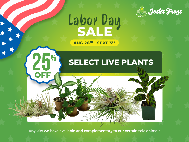 Save 25% on select live plants.