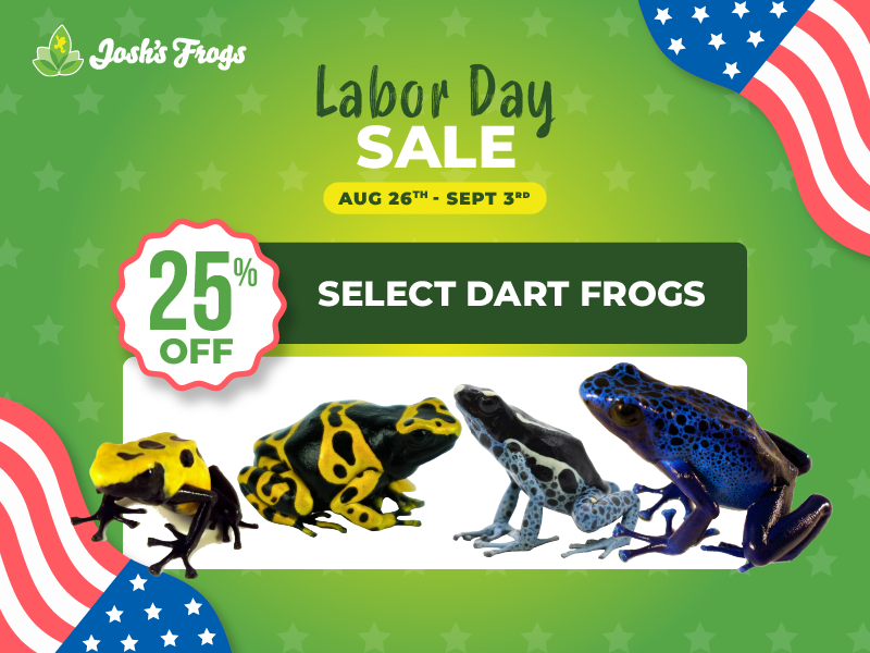 Save 25% on select dart frogs.