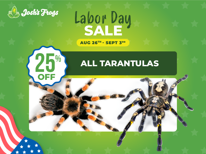 Save 25% on tarantulas.