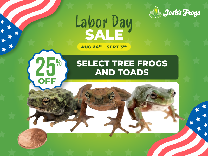 Save 25% on select tree frogs and toads.