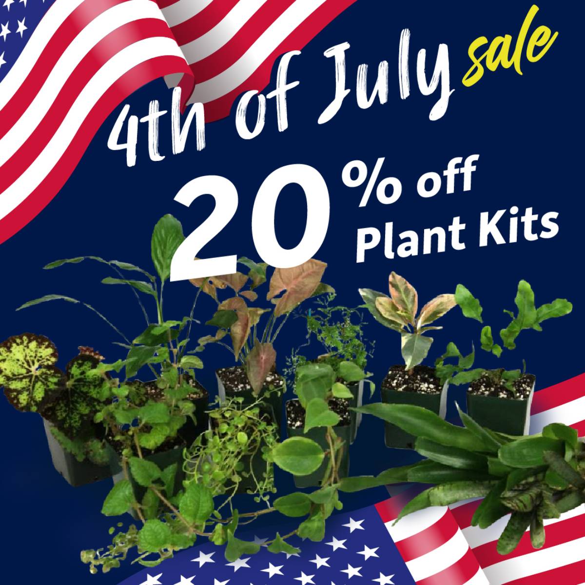 Save 20% on plant kits.