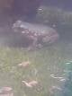 22e2a3e0_ace1_410f_b19b_34fce22bea0f_review-1489f485.jpg