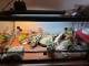 264df877_1577_4f30_9116_04db1c2de72b_review-a1cb0451.jpeg