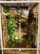 264df877_1577_4f30_9116_04db1c2de72b_review-e0f200be.jpeg
