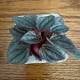 2806d0d0_6d0e_4bb9_a6e8_dfcb3dd55beb_review-ace8132b.jpeg