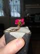 2cb4b7ed_cbe7_49b1_8442_a3360a45acfe_review-a2afe9b0.jpeg