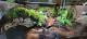 316e643f_1a70_458f_b909_9ed647f4561c_review-73f5a29f.jpg