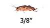 Timberline 3/8" Crickets (500 Count)