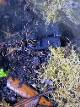 40c7061a_901e_43d4_868d_61affe7ff862_review-a7a83b8c.jpg
