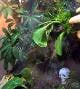 4620ac4d_daa1_4d58_86f6_6b602d00c2db_review-e39235e2.jpeg