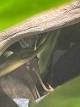 5176b0fb_b798_4a4e_b7b5_776f1ace7283_review-30fd38f6.jpg