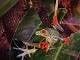 5176b0fb_b798_4a4e_b7b5_776f1ace7283_review-64832a14.jpeg