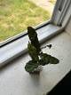 531091f8_7bcb_41ee_a71d_68ecbe2abfc8_review-5d6f87ee.jpeg