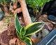 5c77b2d7_64d1_4960_98bb_b9f7ce6d0e4b_review-79cfc774.jpeg
