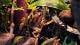 5d198c87_4c06_4935_94fe_52ba0a8d364f_review-61968841.jpg