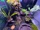 64ce3479_2484_4b20_98a7_f5a7df685e81_review-3921f254.jpeg