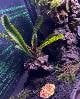 64ce3479_2484_4b20_98a7_f5a7df685e81_review-ae6238b7.jpeg