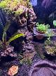 64ce3479_2484_4b20_98a7_f5a7df685e81_review-bba5c4ab.jpeg