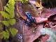 671b0040_71db_4628_aac3_e0621fa5387a_review-29a93955.jpg