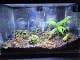 6b09deb0_01d0_446f_a898_d71d7826faf7_review-ffa9ae10.jpg