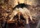 73862163_1296_4534_b840_a1eaad83f18f_review-2cd605eb.jpeg