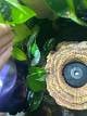 7d7b9a9e_608a_4b2c_b5ea_de203680ddbb_review-79803181.jpeg