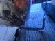 8431f95f_2a4f_4963_848f_7b7ccd65f10d_review-aadb84de.jpg