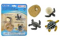 Safari Life Cycle of a Green Sea Turtle