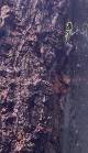 92087a32_a539_4094_bf2e_d11744376026_review-4a367745.jpeg