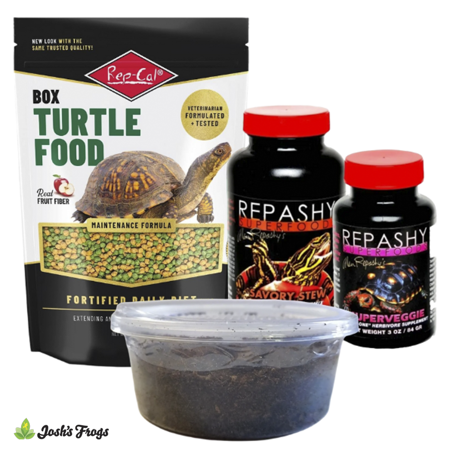 Adult Box Turtle Feeder Bundle