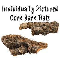 Cork Bark Flat (Individually Pictured)