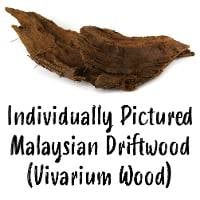 Malaysian Driftwood | Vivarium Wood (Individually Pictured)