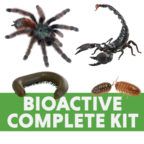 Josh's Frogs Arthro-Pod Bioactive Habitat Kit - 8x8x12 inch (Front-Opening)