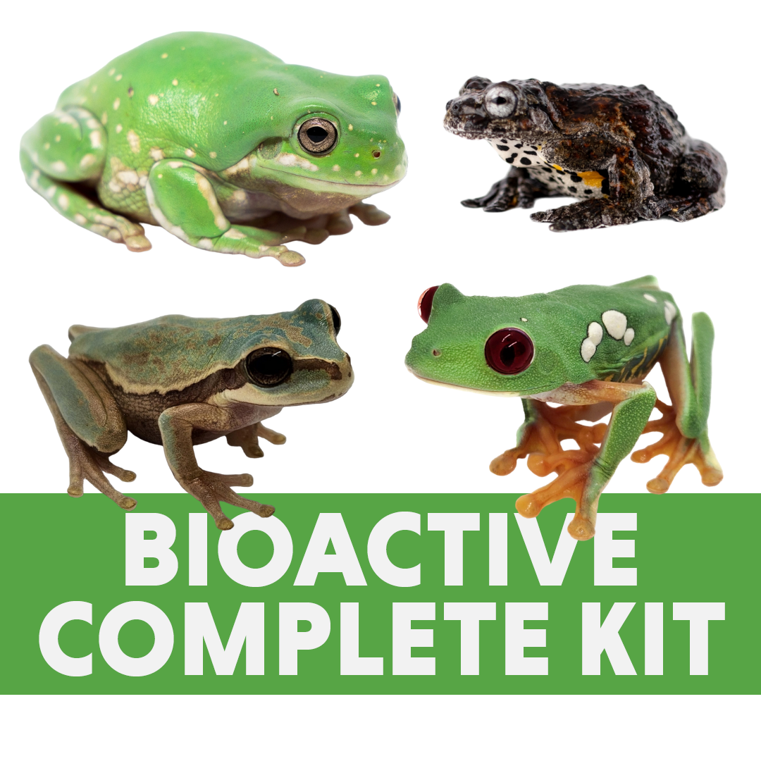 Tree Frog Complete Bioactive Habitat Kit (18x18x18)