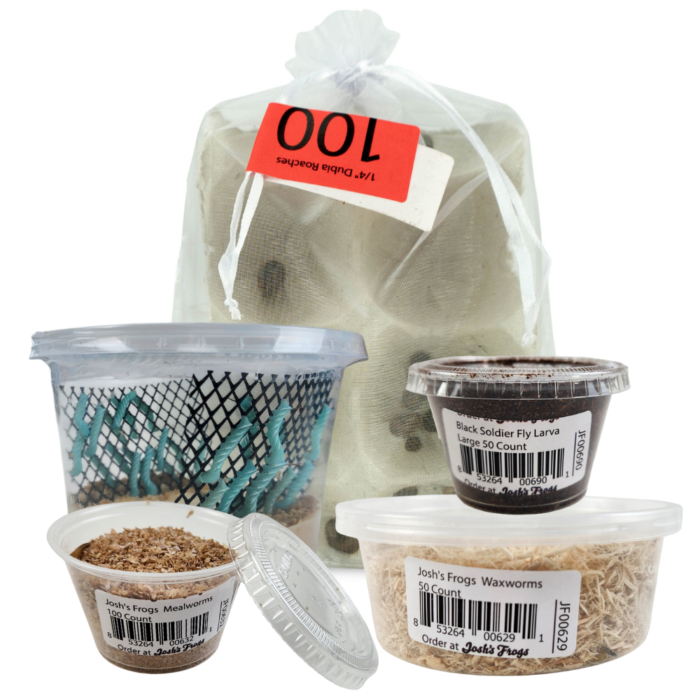 Josh's Frogs Cave Gecko Feeder Bundle